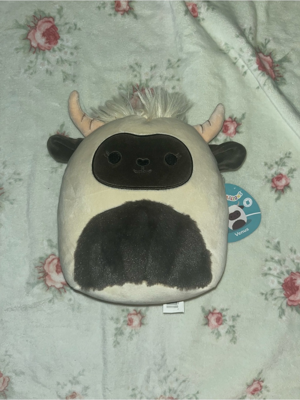VENUS Plush Yeti Squishmallow - Cream and Dark Brown